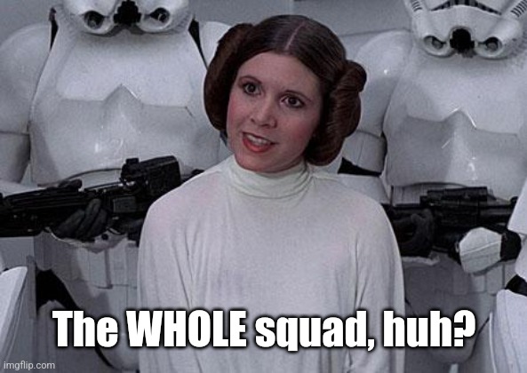 Princess Leia | The WHOLE squad, huh? | image tagged in princess leia | made w/ Imgflip meme maker