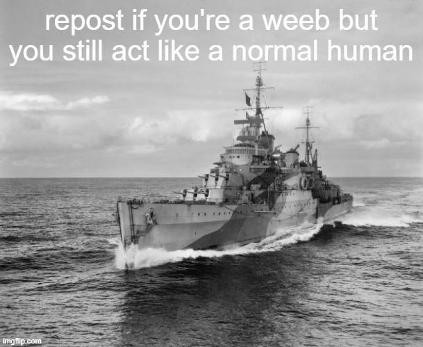 HMS Belfast | repost if you're a weeb but you still act like a normal human | image tagged in hms belfast | made w/ Imgflip meme maker