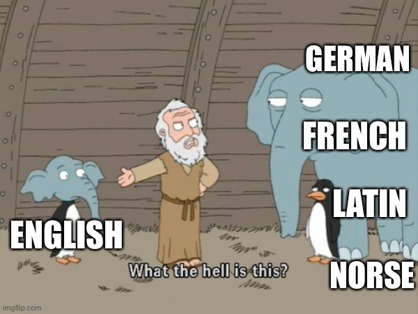 What the hell is even this | GERMAN; FRENCH; LATIN; ENGLISH; NORSE | image tagged in what the hell is this,language,english | made w/ Imgflip meme maker