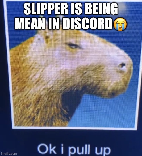ok i pull up | SLIPPER IS BEING MEAN IN DISCORD😭 | image tagged in ok i pull up | made w/ Imgflip meme maker