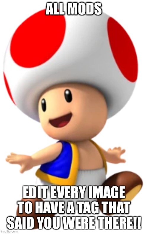 Do it | ALL MODS; EDIT EVERY IMAGE TO HAVE A TAG THAT SAID YOU WERE THERE!! | image tagged in toad mario toadstool,declan was here,nobody was here | made w/ Imgflip meme maker