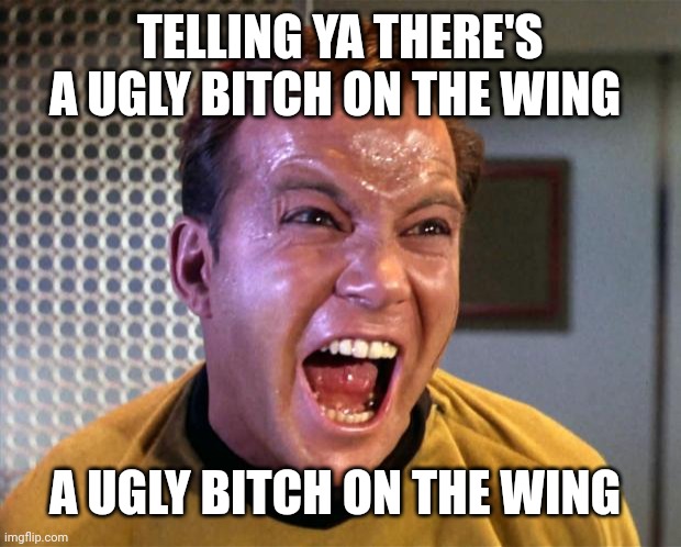 Captain Kirk Screaming | TELLING YA THERE'S A UGLY BITCH ON THE WING A UGLY BITCH ON THE WING | image tagged in captain kirk screaming | made w/ Imgflip meme maker