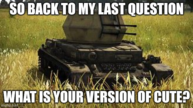 Wirbelwind | SO BACK TO MY LAST QUESTION; WHAT IS YOUR VERSION OF CUTE? | image tagged in wirbelwind | made w/ Imgflip meme maker