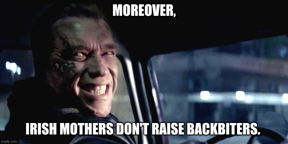 Terminator Genisys Smile | MOREOVER, IRISH MOTHERS DON'T RAISE BACKBITERS. | image tagged in terminator genisys smile | made w/ Imgflip meme maker
