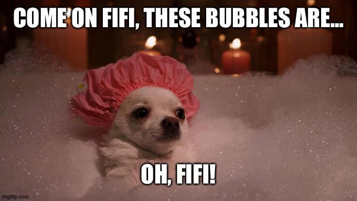 Chihuahua Bubble Bath | COME ON FIFI, THESE BUBBLES ARE... OH, FIFI! | image tagged in chihuahua bubble bath | made w/ Imgflip meme maker