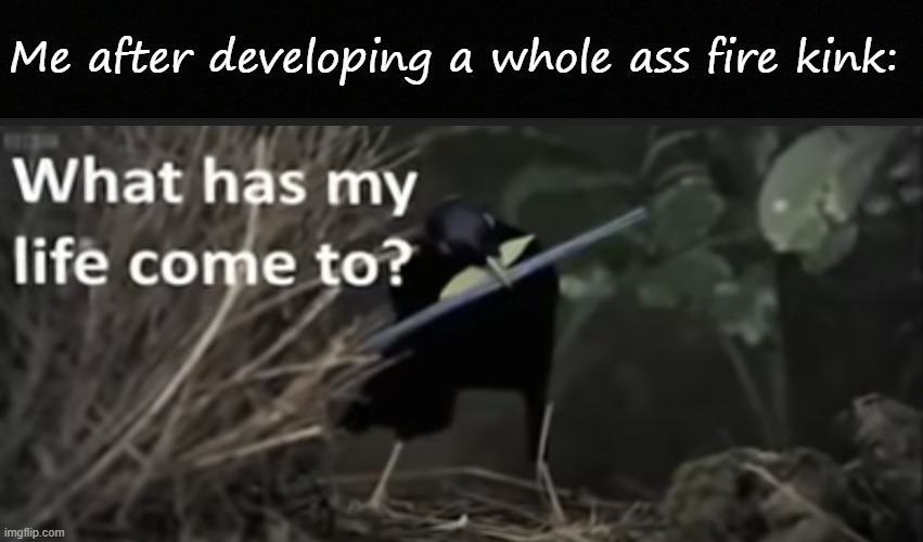 Me after developing a whole ass fire kink: | image tagged in blank black,what has my life come to | made w/ Imgflip meme maker