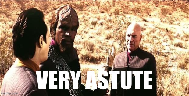 Star Trek Worf Very Astute | image tagged in star trek worf very astute | made w/ Imgflip meme maker