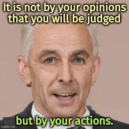 It is not by your opinions that you will be judged; but by your actions. | image tagged in opinions,judge,actions | made w/ Imgflip meme maker