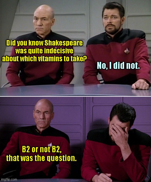 Picard talks about Shakespeare | Did you know Shakespeare was quite indecisive about which vitamins to take? No, I did not. B2 or not B2, that was the question. | image tagged in picard riker listening to a pun,star trek the next generation,shakespeare,bad pun,humor | made w/ Imgflip meme maker