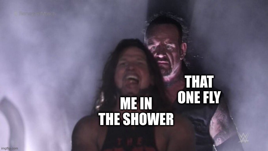 AJ Styles & Undertaker | THAT ONE FLY; ME IN THE SHOWER | image tagged in aj styles undertaker | made w/ Imgflip meme maker