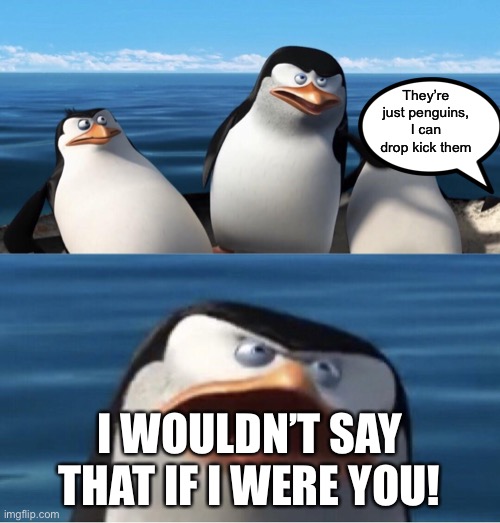 Wouldn't that make you | They’re just penguins, I can drop kick them I WOULDN’T SAY THAT IF I WERE YOU! | image tagged in wouldn't that make you | made w/ Imgflip meme maker