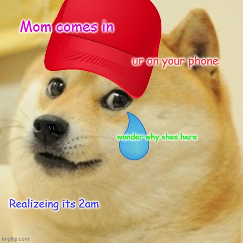 Doge Meme | Mom comes in; ur on your phone; wonder why shes here; Realizeing its 2am | image tagged in memes,doge | made w/ Imgflip meme maker