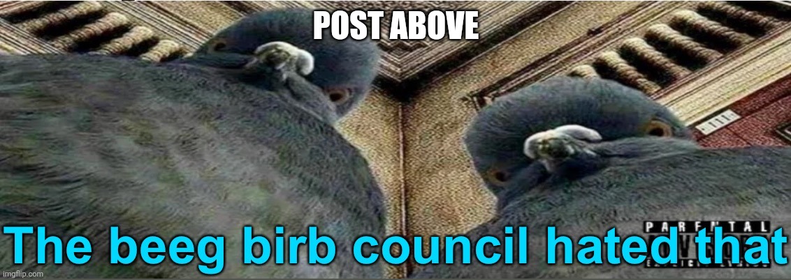 The beeg birb council hated that | POST ABOVE | image tagged in the beeg birb council hated that | made w/ Imgflip meme maker