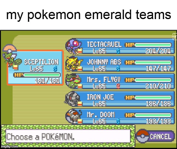 please rate it | my pokemon emerald teams | image tagged in pokemon,team | made w/ Imgflip meme maker