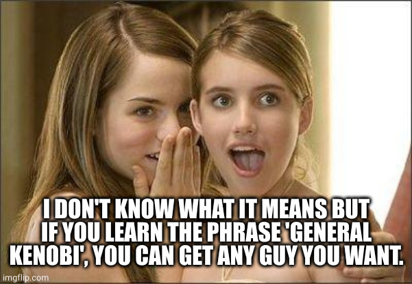 Girls gossiping | I DON'T KNOW WHAT IT MEANS BUT IF YOU LEARN THE PHRASE 'GENERAL KENOBI', YOU CAN GET ANY GUY YOU WANT. | image tagged in girls gossiping | made w/ Imgflip meme maker