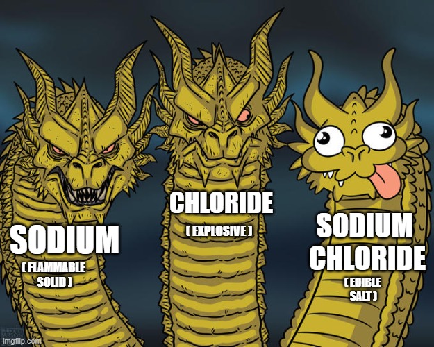 fun chem tube | CHLORIDE; SODIUM 
CHLORIDE; SODIUM; ( EXPLOSIVE ); ( FLAMMABLE
 SOLID ); ( EDIBLE 
SALT ) | image tagged in funny memes,dragon ball gt,chemistry | made w/ Imgflip meme maker