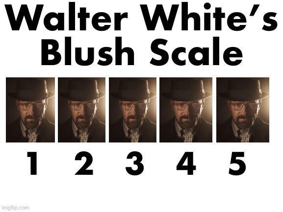 Blank White Template | Walter White’s
Blush Scale; 1　2　3　4　5 | made w/ Imgflip meme maker