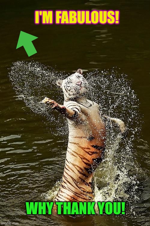 Fabulous Tiger | I'M FABULOUS! WHY THANK YOU! | image tagged in fabulous tiger | made w/ Imgflip meme maker