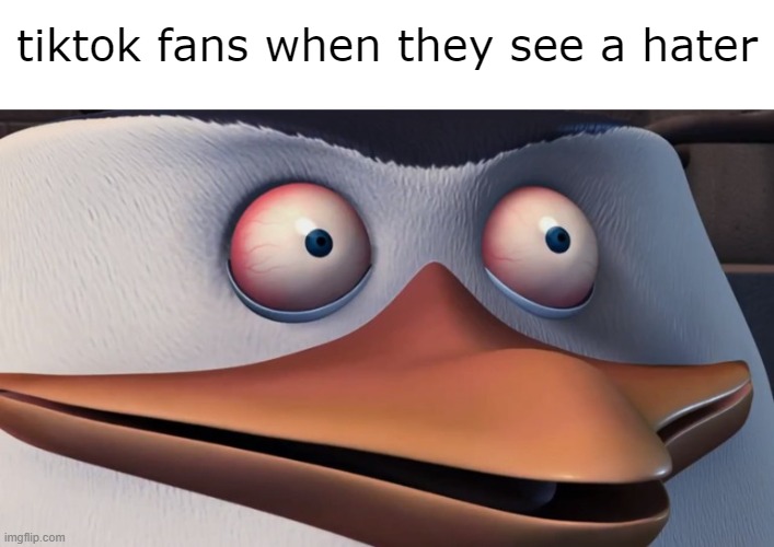 Shook Skipper | tiktok fans when they see a hater | image tagged in shook skipper | made w/ Imgflip meme maker