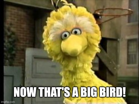 NOW THAT'S A BIG BIRD! | made w/ Imgflip meme maker