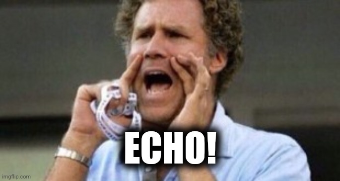 Will Farrell yelling | ECHO! | image tagged in will farrell yelling | made w/ Imgflip meme maker