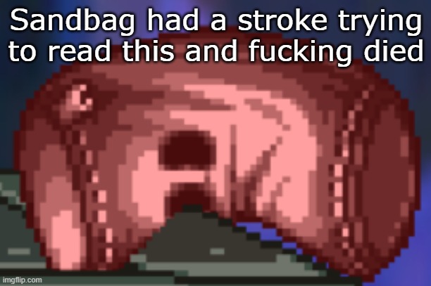 help the sandbag | Sandbag had a stroke trying to read this and fucking died | image tagged in help the sandbag | made w/ Imgflip meme maker