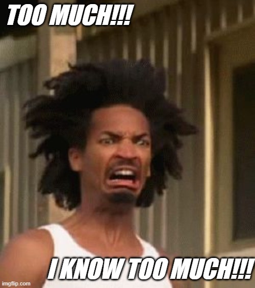 That Moment You Realized....... | TOO MUCH!!! I KNOW TOO MUCH!!! | image tagged in that moment you realized | made w/ Imgflip meme maker