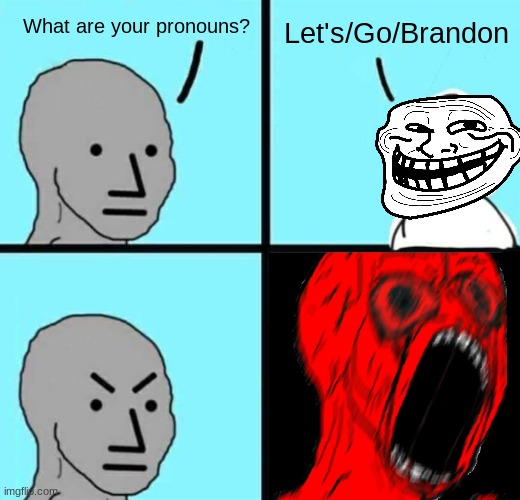 personally, my pronouns are abortion/is/murder | Let's/Go/Brandon; What are your pronouns? | image tagged in angry npc wojack rage | made w/ Imgflip meme maker