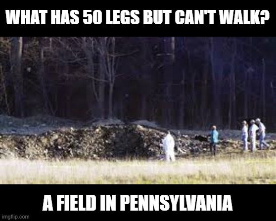 Flight 93 | WHAT HAS 50 LEGS BUT CAN'T WALK? A FIELD IN PENNSYLVANIA | image tagged in dark humor | made w/ Imgflip meme maker