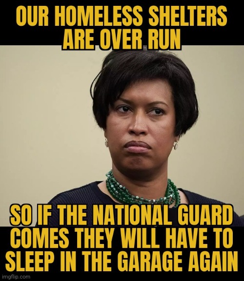 DEAL WITH  SANCTUARY YOURSELF | image tagged in muriel bowser,washington dc,disgrace | made w/ Imgflip meme maker