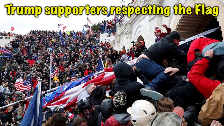 Capitol Terrorists | Trump supporters respecting the Flag | image tagged in capitol terrorists | made w/ Imgflip meme maker