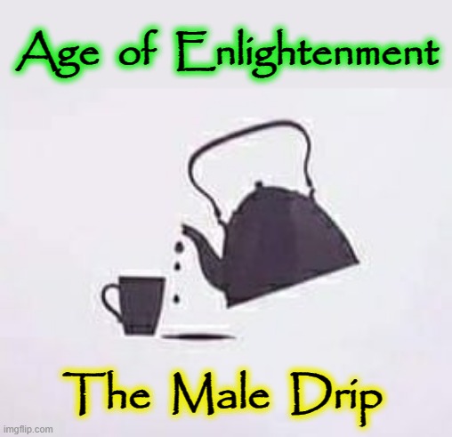 Aim ! | Age  of  Enlightenment; The  Male  Drip | image tagged in drip | made w/ Imgflip meme maker