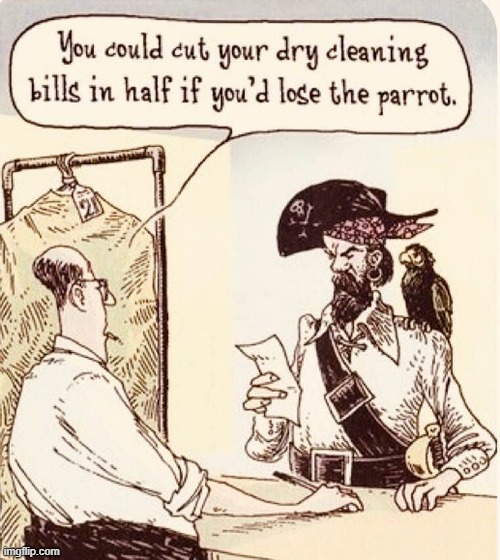 Pirate`s dilemma | image tagged in listen here you little shit bird | made w/ Imgflip meme maker
