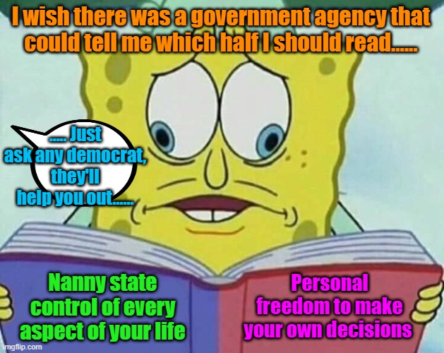 Some decisions should be easier than others |  I wish there was a government agency that could tell me which half I should read...... ..... Just ask any democrat, they'll help you out...... Personal freedom to make your own decisions; Nanny state control of every aspect of your life | image tagged in cross eyed spongebob,maga,trump 2024,midterms | made w/ Imgflip meme maker