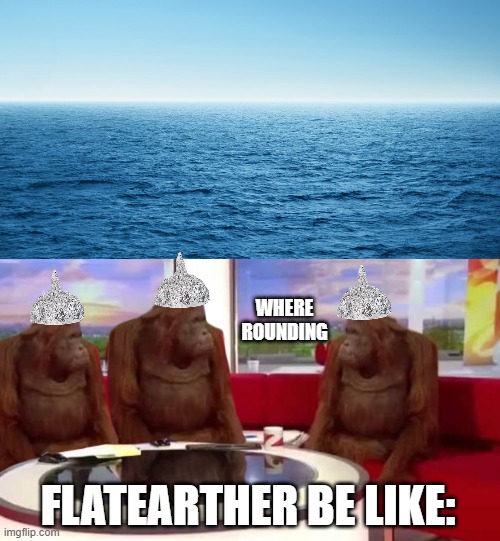Flatearther be like: | WHERE
ROUNDING; FLATEARTHER BE LIKE: | image tagged in where monkey | made w/ Imgflip meme maker