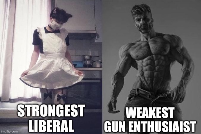 Ok | STRONGEST LIBERAL; WEAKEST GUN ENTHUSIAIST | image tagged in strongest fan vs weakest fan | made w/ Imgflip meme maker