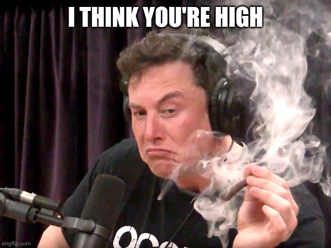 Elon Musk Weed | I THINK YOU'RE HIGH | image tagged in elon musk weed | made w/ Imgflip meme maker