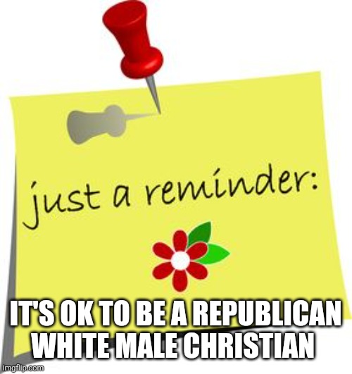 IT'S OK TO BE A REPUBLICAN WHITE MALE CHRISTIAN | image tagged in funny memes | made w/ Imgflip meme maker