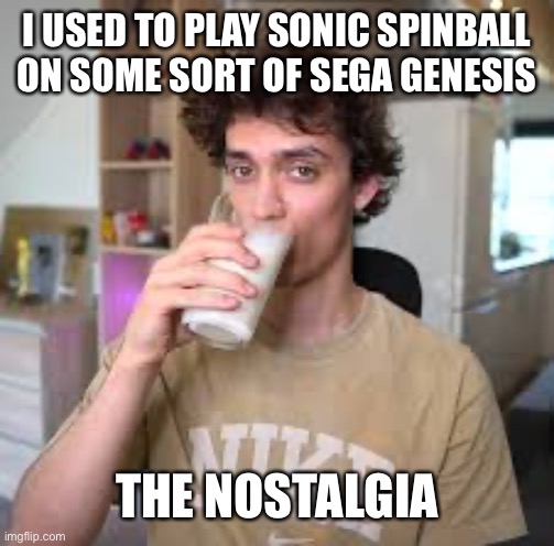 Dani | I USED TO PLAY SONIC SPINBALL ON SOME SORT OF SEGA GENESIS; THE NOSTALGIA | image tagged in dani | made w/ Imgflip meme maker
