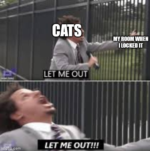 LET ME OUT AAAAAAAAA | CATS; MY ROOM WHEN I LOCKED IT | image tagged in let me out,memes,lol,cats | made w/ Imgflip meme maker