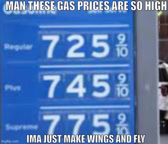 MAN THESE GAS PRICES ARE SO HIGH; IMA JUST MAKE WINGS AND FLY | made w/ Imgflip meme maker