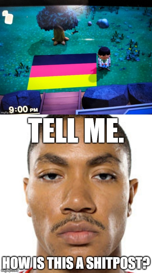 TELL ME. HOW IS THIS A SHITPOST? | image tagged in derrick rose straight face | made w/ Imgflip meme maker