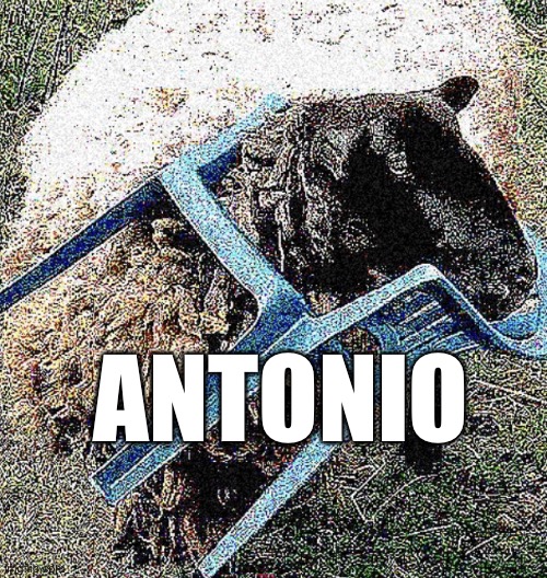 Antonia | ANTONIO | image tagged in shep | made w/ Imgflip meme maker
