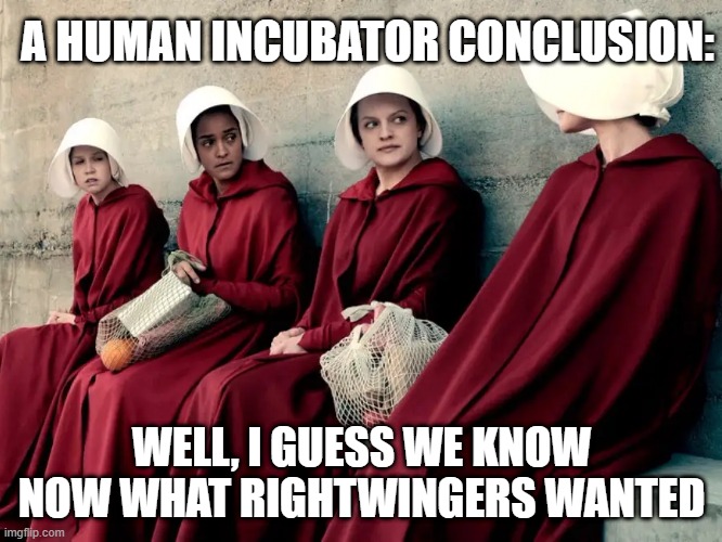 Handmaid's Tale | A HUMAN INCUBATOR CONCLUSION:; WELL, I GUESS WE KNOW NOW WHAT RIGHTWINGERS WANTED | image tagged in handmaid's tale | made w/ Imgflip meme maker