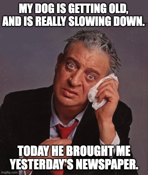 Slow | MY DOG IS GETTING OLD, AND IS REALLY SLOWING DOWN. TODAY HE BROUGHT ME YESTERDAY'S NEWSPAPER. | image tagged in rodney dangerfield no respect | made w/ Imgflip meme maker