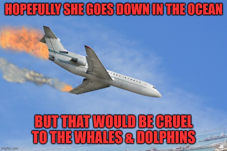 Plane Crash | HOPEFULLY SHE GOES DOWN IN THE OCEAN BUT THAT WOULD BE CRUEL TO THE WHALES & DOLPHINS | image tagged in plane crash | made w/ Imgflip meme maker