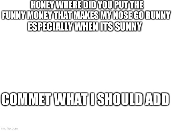 Part one | HONEY WHERE DID YOU PUT THE FUNNY MONEY THAT MAKES MY NOSE GO RUNNY; ESPECIALLY WHEN ITS SUNNY; COMMET WHAT I SHOULD ADD | image tagged in blank white template,funny,money,sunny,runny,honey | made w/ Imgflip meme maker