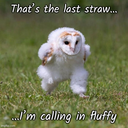 That’s the last straw… …I’m calling in fluffy | made w/ Imgflip meme maker