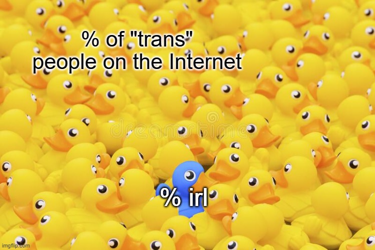 Perhaps this very sciency chart can help put things in perspective | % of "trans" people on the Internet; % irl | made w/ Imgflip meme maker