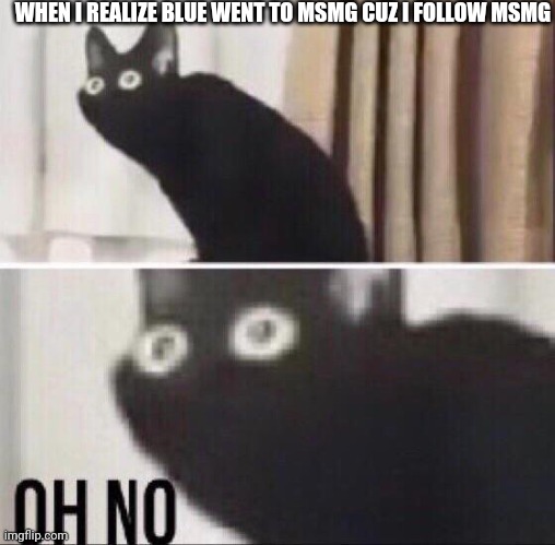 Oh no cat | WHEN I REALIZE BLUE WENT TO MSMG CUZ I FOLLOW MSMG | image tagged in oh no cat | made w/ Imgflip meme maker